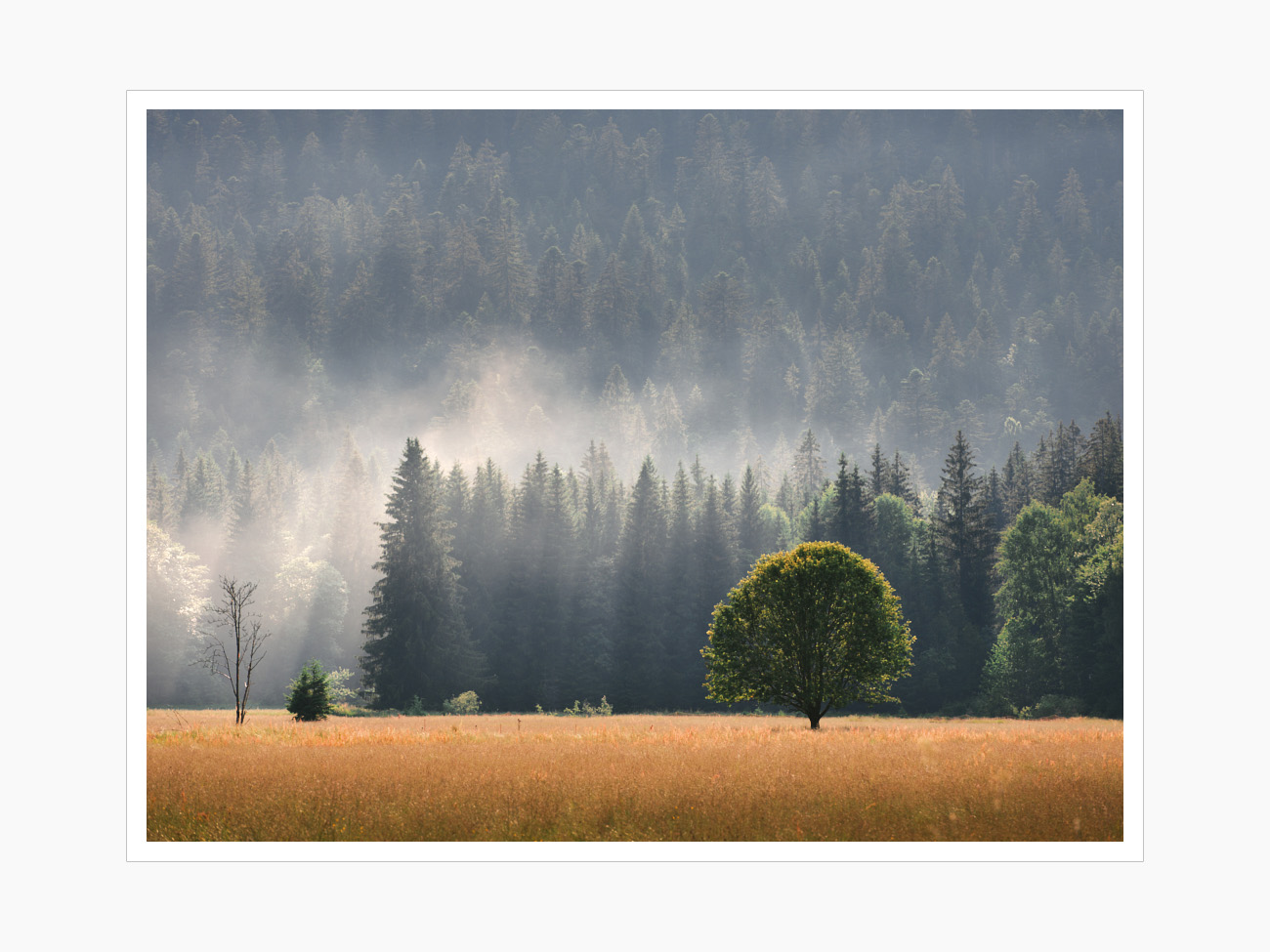 Max Schiefele Capture  DSF9248 1